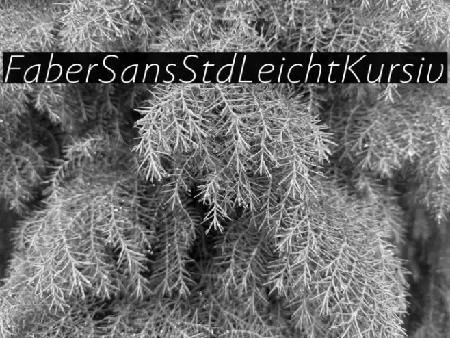 FaberSansStd-46LeichtKursiv Font examples
