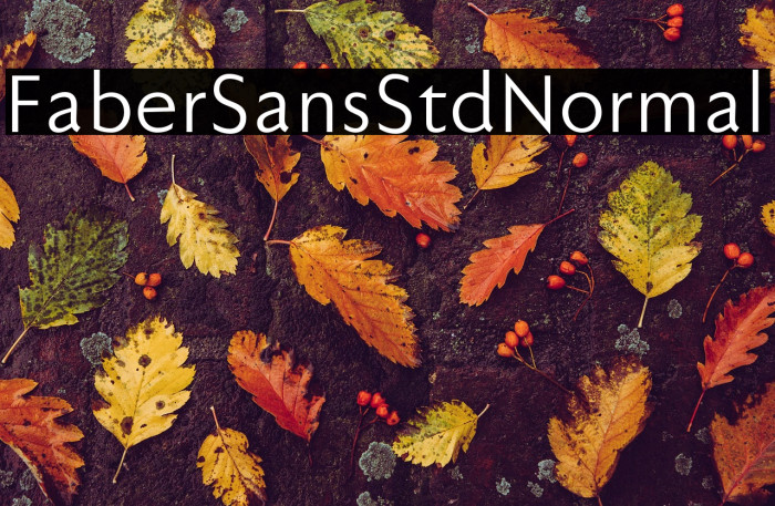 FaberSansStd-55Normal Example 2