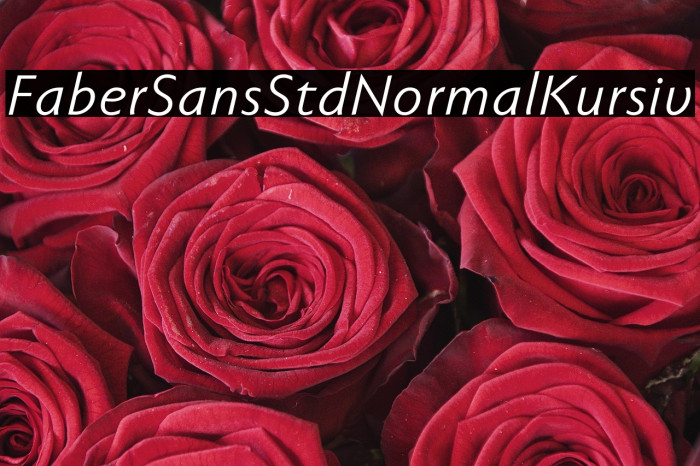 FaberSansStd-56NormalKursiv Example 3