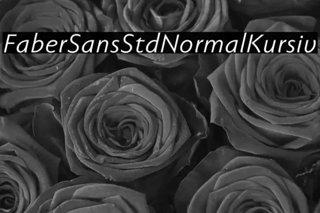 FaberSansStd-56NormalKursiv Font examples