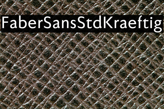 FaberSansStd-65Kraeftig Example 1