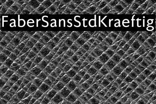 FaberSansStd-65Kraeftig Font examples