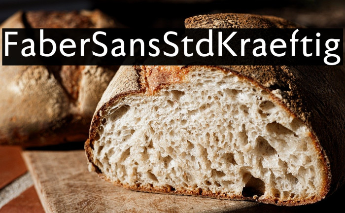 FaberSansStd-65Kraeftig Example 2