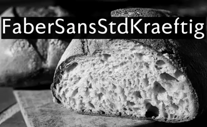 FaberSansStd-65Kraeftig Font examples