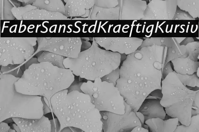FaberSansStd-66KraeftigKursiv Font examples