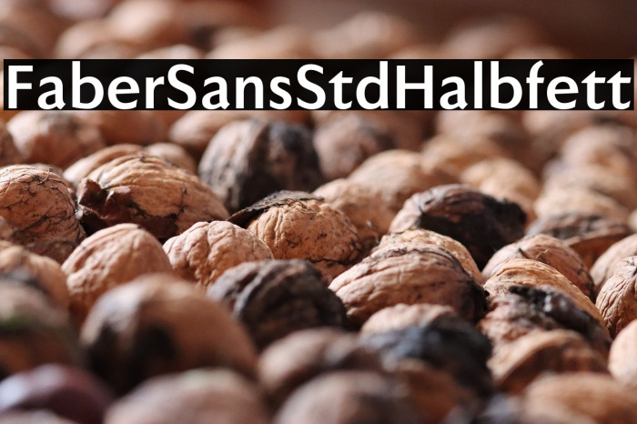 FaberSansStd-75Halbfett Example 1