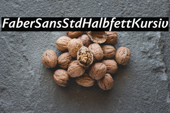 FaberSansStd-76HalbfettKursiv Example 2