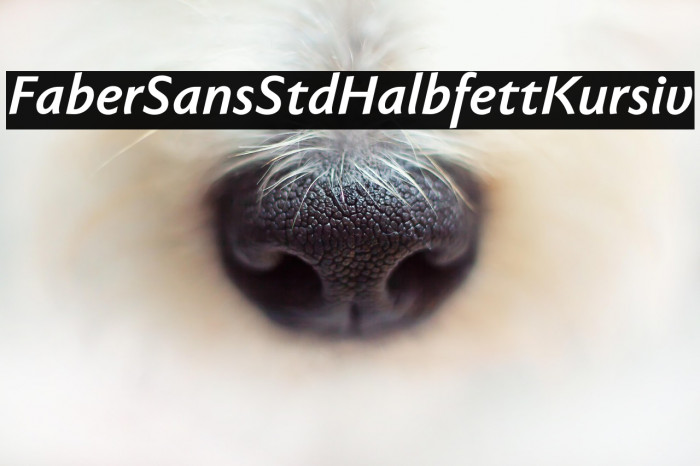FaberSansStd-76HalbfettKursiv Example 3