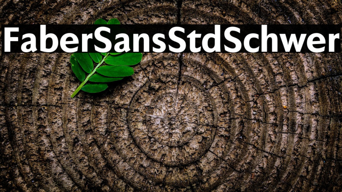 FaberSansStd-85Schwer Example 2