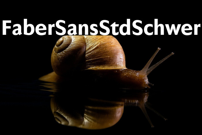 FaberSansStd-85Schwer Example 3