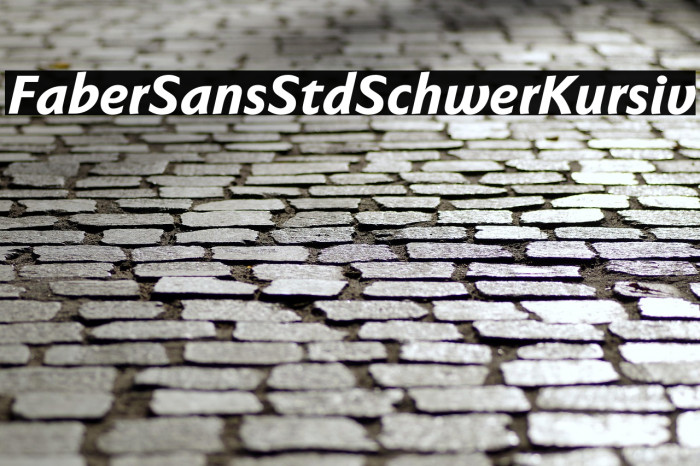 FaberSansStd-86SchwerKursiv Example 3