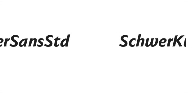 FaberSansStd-86SchwerKursiv Logo