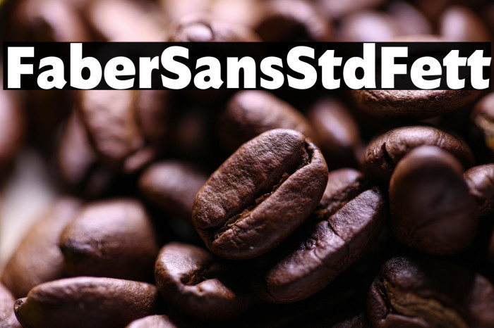 FaberSansStd-95Fett Example 1