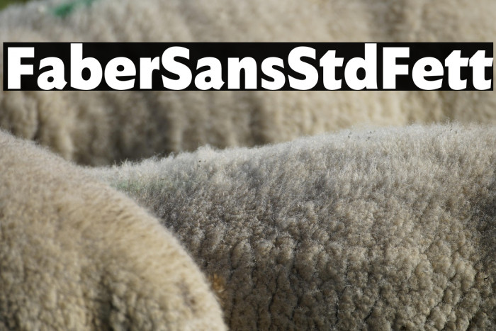FaberSansStd-95Fett Example 2