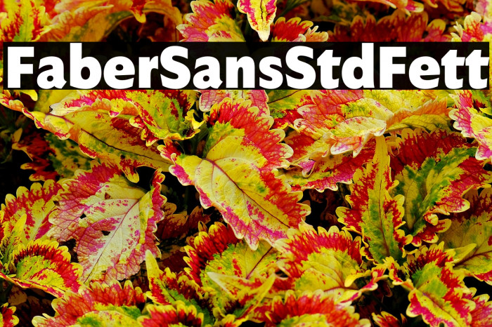 FaberSansStd-95Fett Example 3