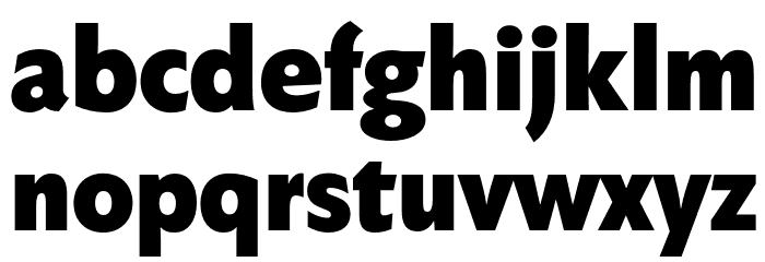 FaberSansStd-95Fett Font LOWERCASE