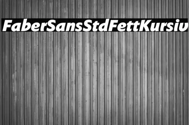 FaberSansStd-96FettKursiv Font examples