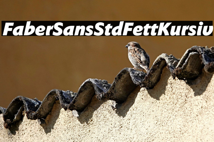 FaberSansStd-96FettKursiv Example 2