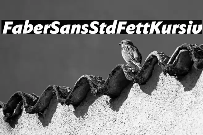 FaberSansStd-96FettKursiv Font examples