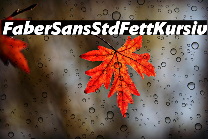 FaberSansStd-96FettKursiv Example 3