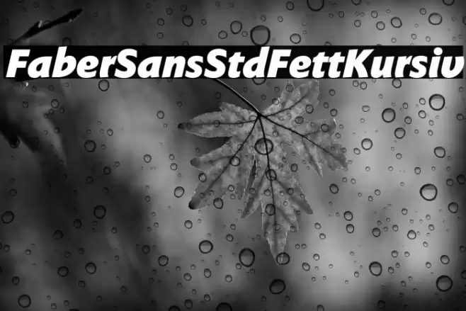FaberSansStd-96FettKursiv Font examples