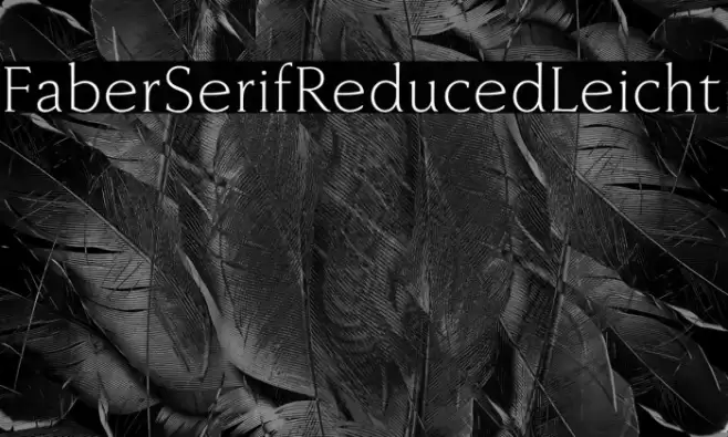 FaberSerifReduced-45Leicht Font examples