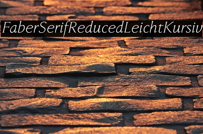 FaberSerifReduced-46LeichtKursiv Example 2