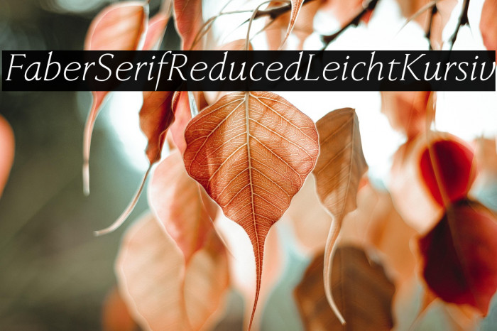 FaberSerifReduced-46LeichtKursiv Example 3
