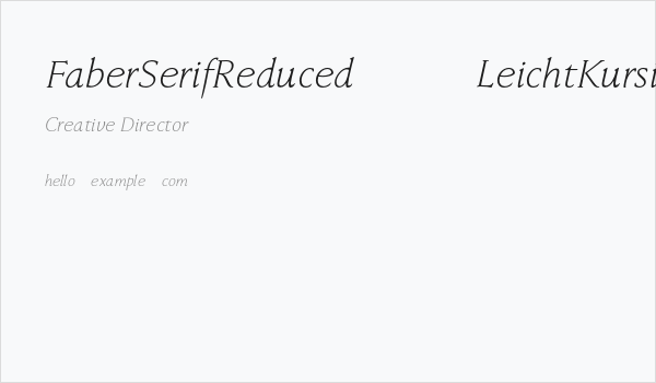 FaberSerifReduced-46LeichtKursiv Business Card