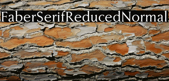 FaberSerifReduced-55Normal Example 1