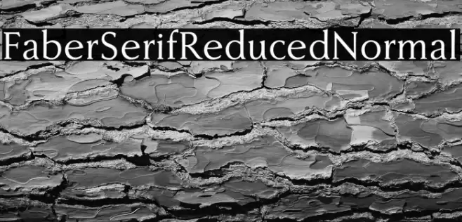 FaberSerifReduced-55Normal Font examples