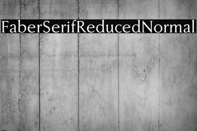 FaberSerifReduced-55Normal Font examples