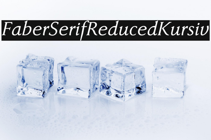 FaberSerifReduced-56Kursiv Example 1