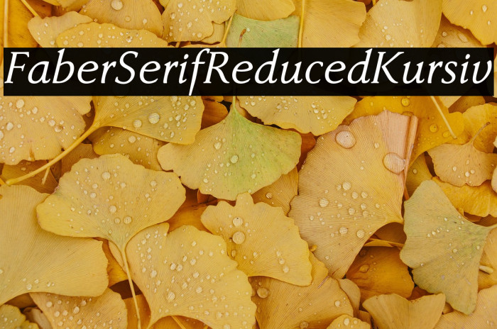 FaberSerifReduced-56Kursiv Example 2