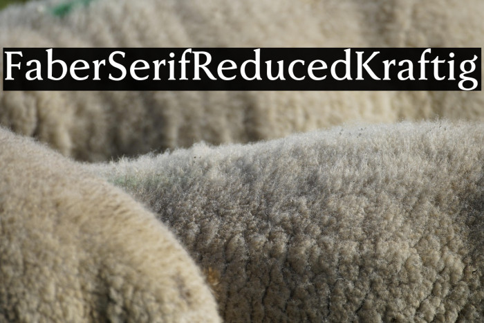 FaberSerifReduced-65Kraftig Example 1