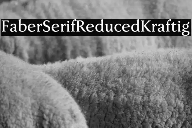 FaberSerifReduced-65Kraftig Font examples