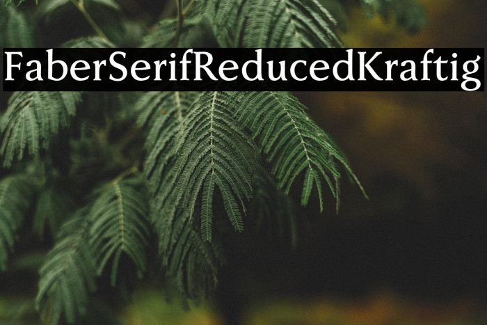 FaberSerifReduced-65Kraftig Example 2
