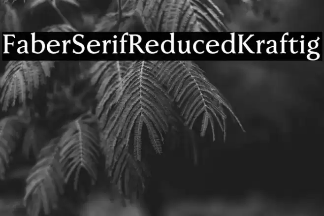 FaberSerifReduced-65Kraftig Font examples