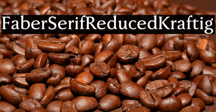 FaberSerifReduced-65Kraftig Example 3