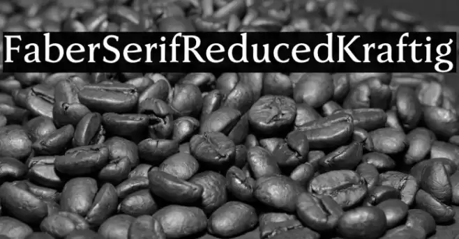 FaberSerifReduced-65Kraftig Font examples