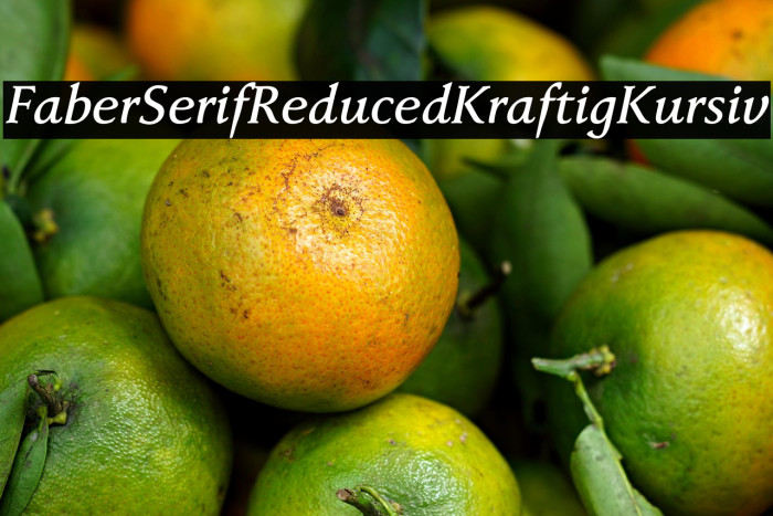FaberSerifReduced-66KraftigKursiv Example 2