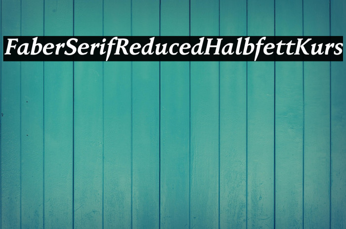 FaberSerifReduced-76HalbfettKurs Example 1