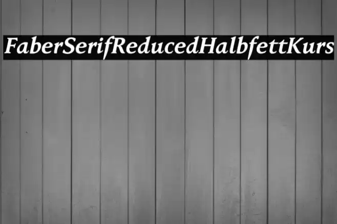 FaberSerifReduced-76HalbfettKurs Font examples