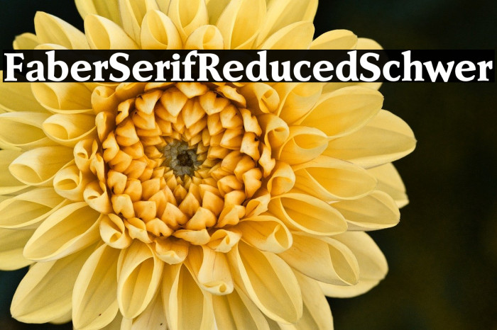 FaberSerifReduced-85Schwer Example 1