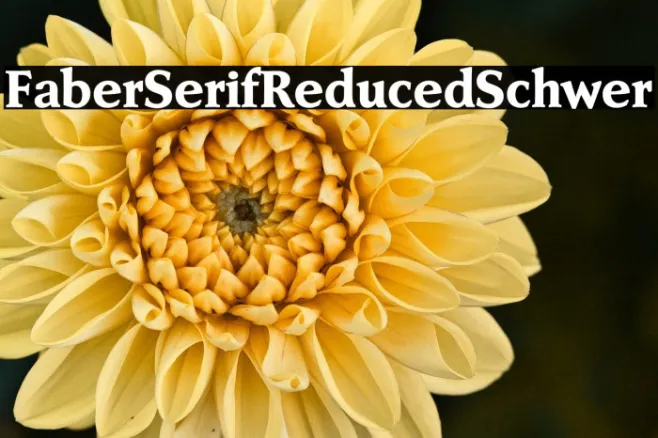 FaberSerifReduced-85Schwer Example 1