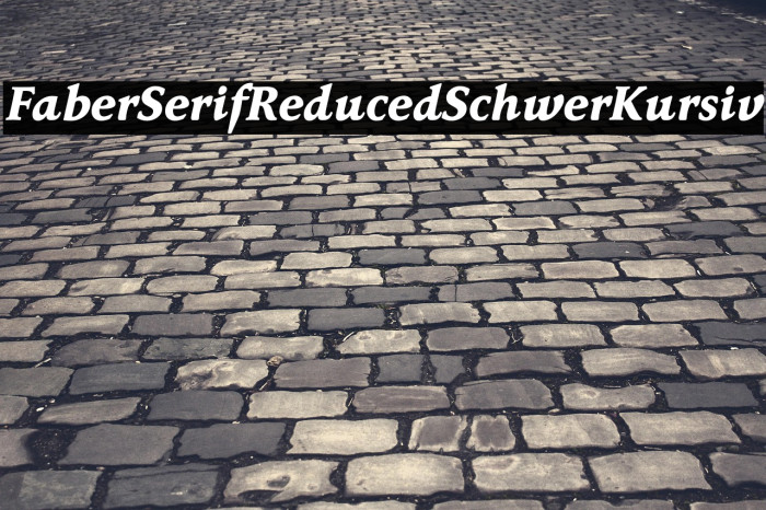 FaberSerifReduced-86SchwerKursiv Example 1