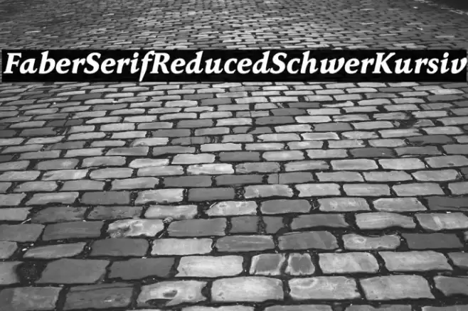 FaberSerifReduced-86SchwerKursiv Font examples