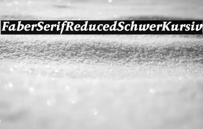 FaberSerifReduced-86SchwerKursiv Font examples