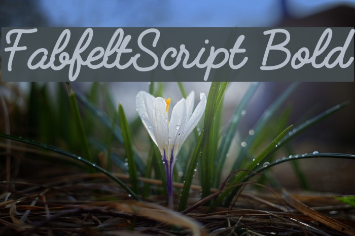 FabfeltScript Bold Font examples