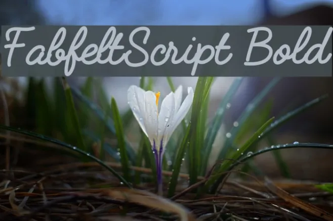 FabfeltScript Bold Example 2